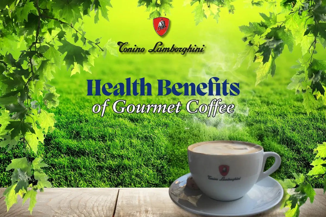 All About Healthy Gourmet Coffee - Tonino Lamborghini