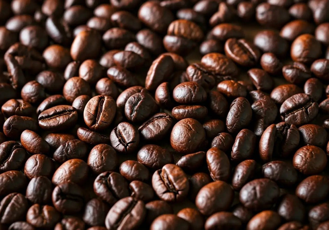 Discover the Rich Taste of Roasted Coffee Beans - Tonino Lamborghini
