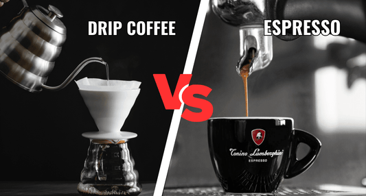 Drip Coffee vs Espresso: What Actually Changes in Your Cup - Tonino Lamborghini