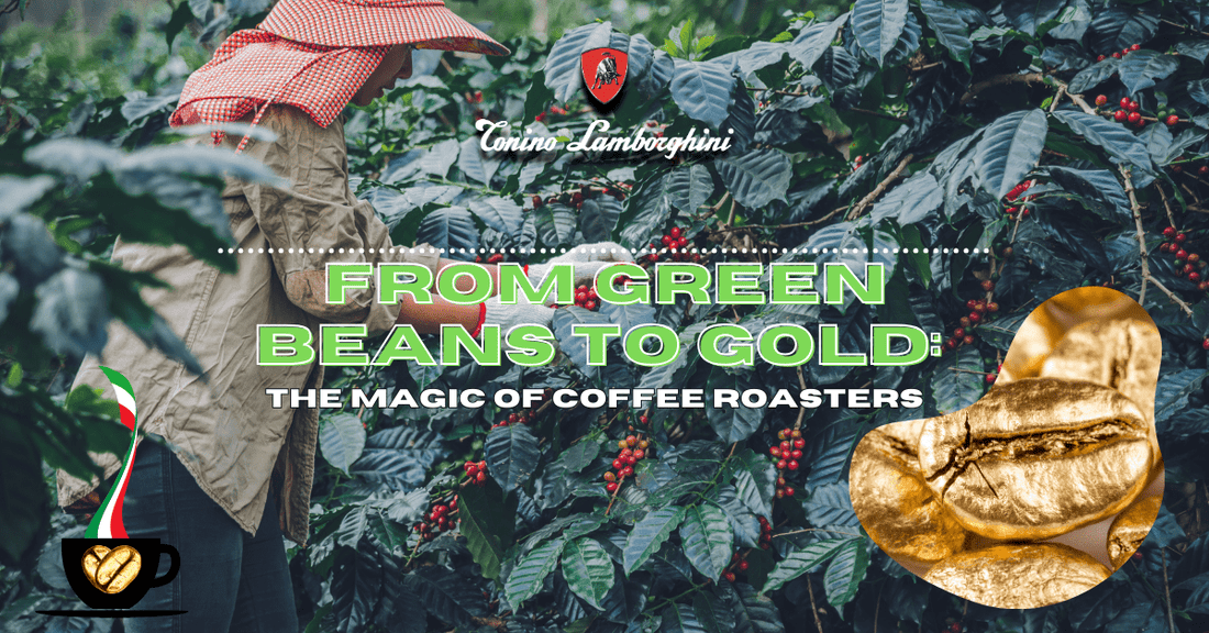 From Green Beans to Gold: The Magic of Coffee Roasters - Tonino Lamborghini