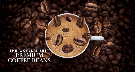 The World's Best Premium Coffee Beans - Tonino Lamborghini