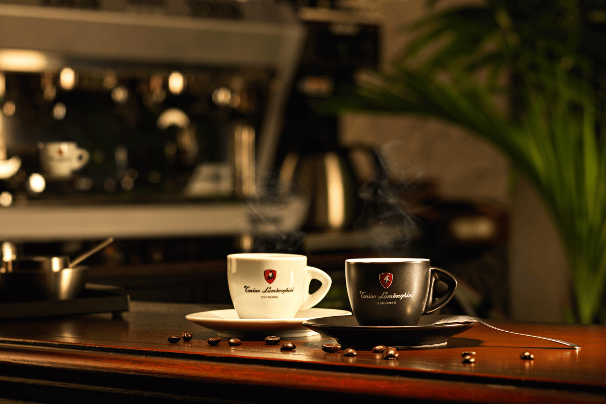 Tonino Lamborghini luxury Italian espresso cups and saucers — made in Italy, available in Canada