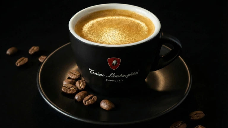 tonino lamborghini official distributor in canada - italian espresso